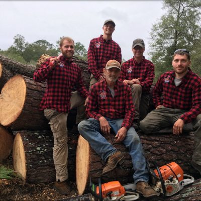 Beaver tree crew